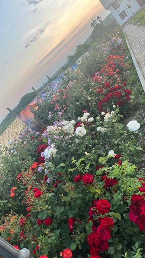 Hotel Relax Greci Exterior foto